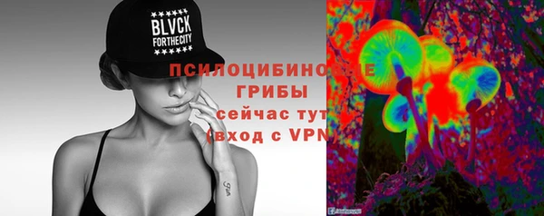 ALPHA PVP Дмитриев