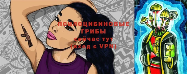 ALPHA PVP Дмитриев