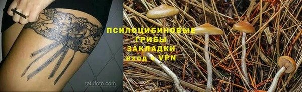 мдпв Дмитров