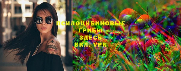 мдпв Дмитров