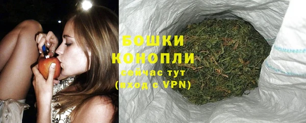 мдпв Дмитров