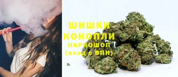 мдпв Дмитров