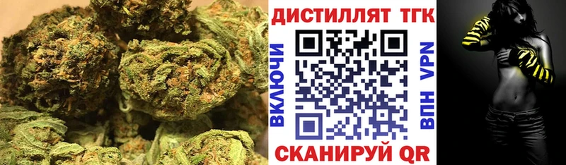 Купить  Каргополь  ТГК гашишное масло 