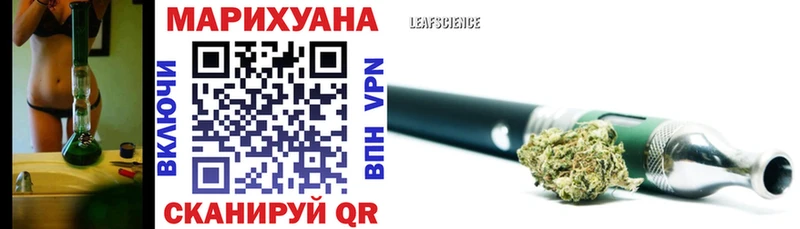 Шишки марихуана сатива  Купить  Каргополь 